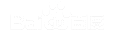 �˳�AI�Ż�